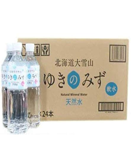 水 ミネラルウォーター 550ml 48本(24本入1箱×2) 北海道の水 ゆきのみず(水) 550ミリリットル